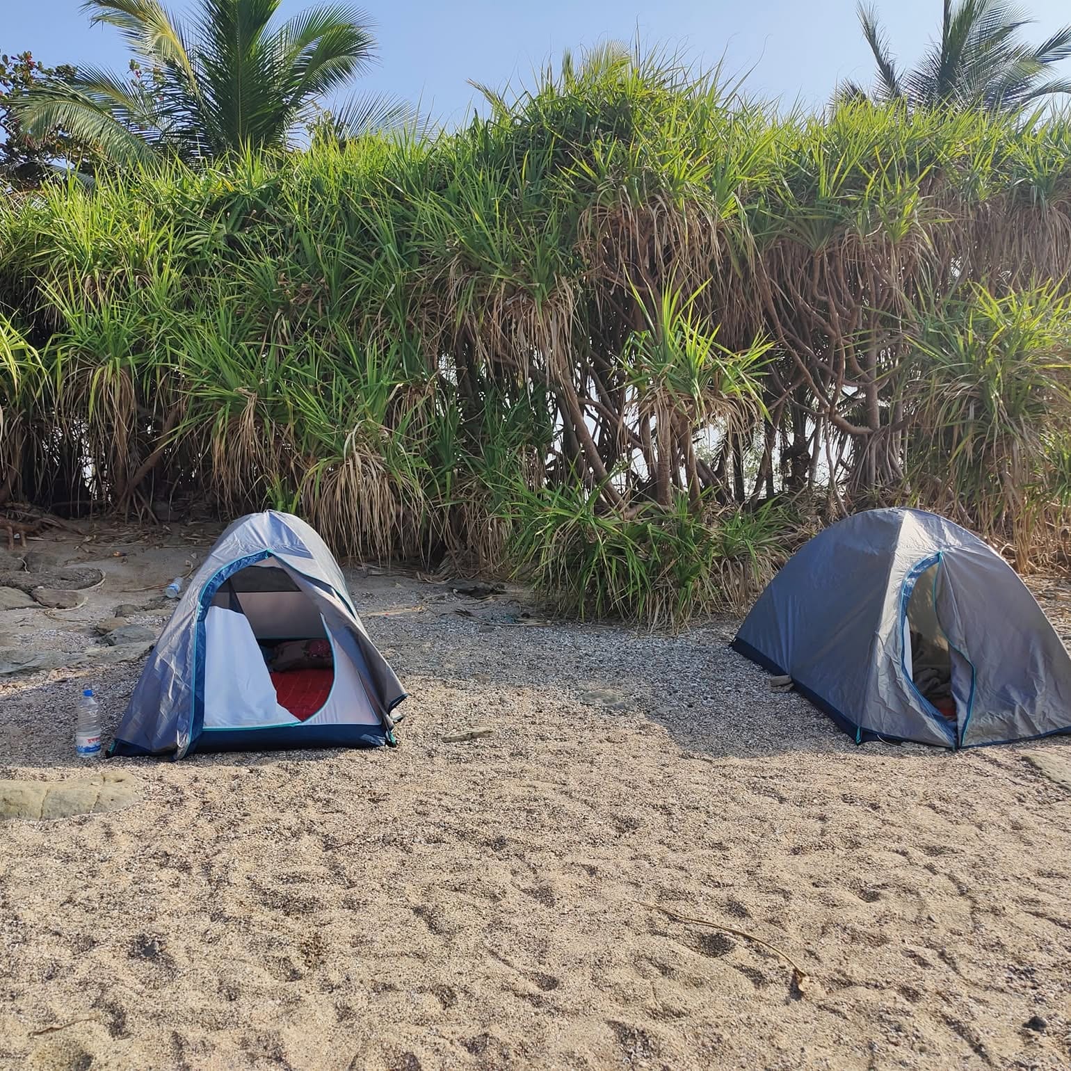 Two tents pitched on the sand beside beach shrubs